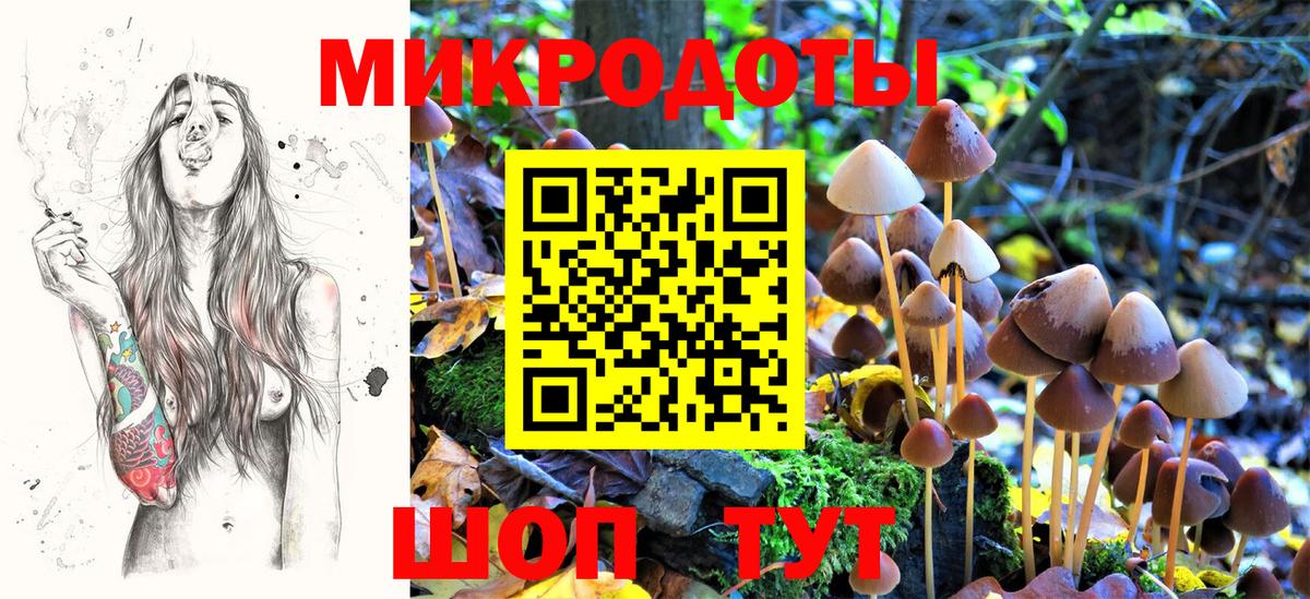 Фрязино  Псилоцибиновые грибы мухоморы  Вход с VPN 