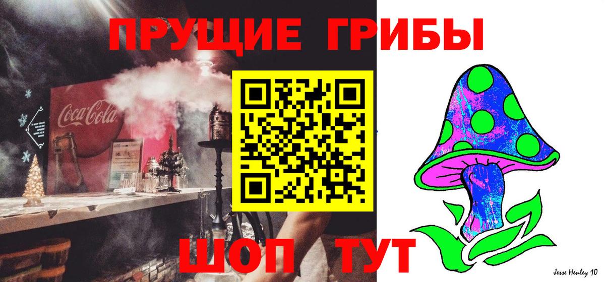 Галлюциногенные грибы Psilocybe Фрязино